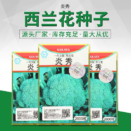 西蘭花種子