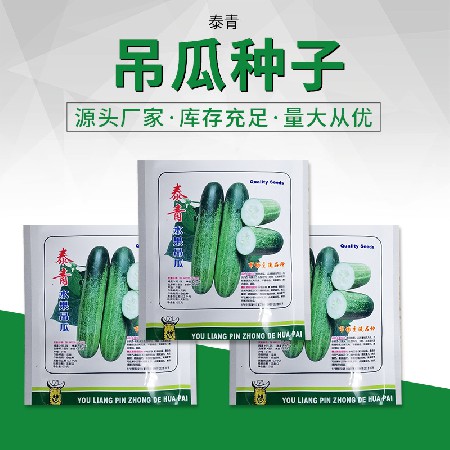泰青水果吊瓜