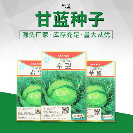 甘藍(lán)種子