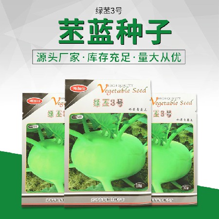 綠苤3號(hào)苤藍(lán)種子