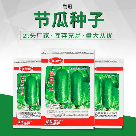 碧冠節(jié)瓜種子